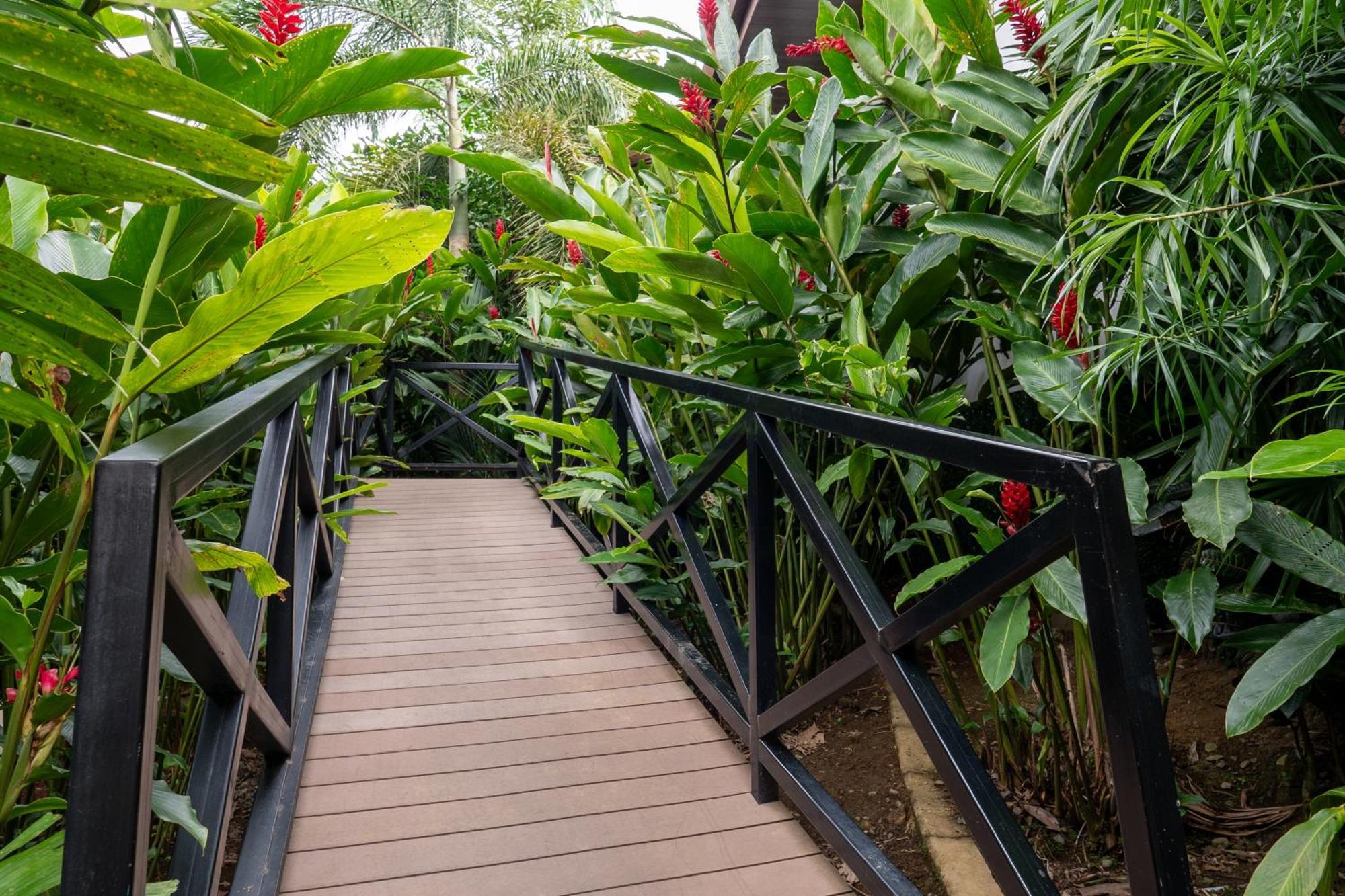 Hotel Boutique Casa Del Rio La Fortuna Zewnętrze zdjęcie